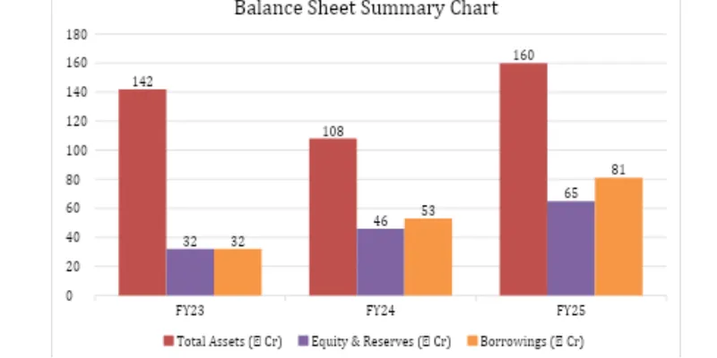 Balance Sheet Summary Chart